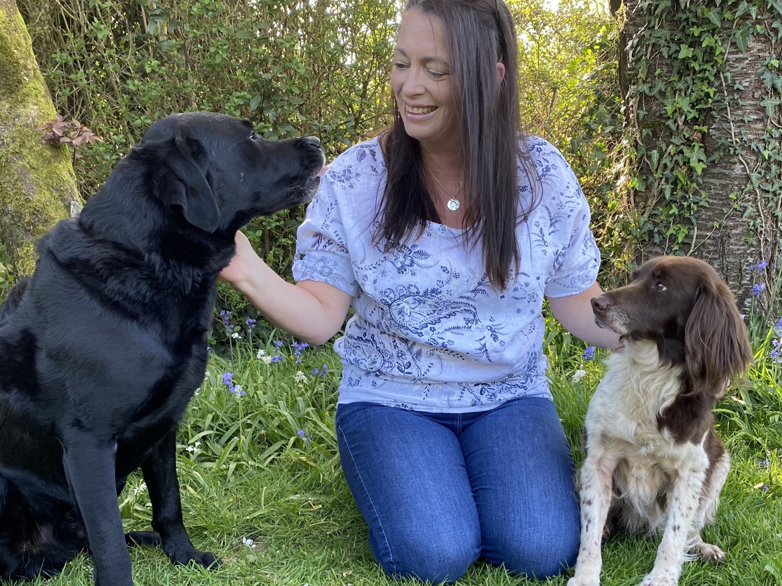 Dog Training & Home Boarding Paws4Reward